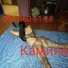 Проститутка Киева КАМИЛА, с 4 размером груди - маленькое фото