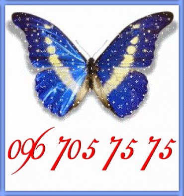 Проститутка Киева Butterfly, снять за 500 грн час - большое фото