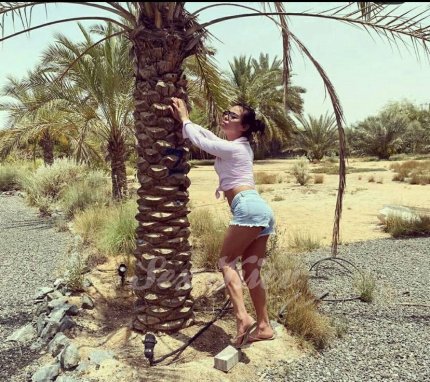 Проститутка Киева Лейла, индивидуалка обслуживает у метро Крещатик - большое фото